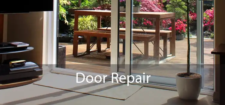 Door Repair 