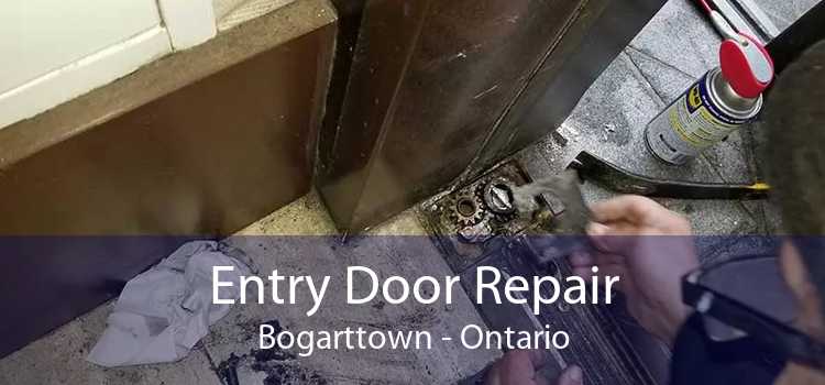 Entry Door Repair Bogarttown - Ontario