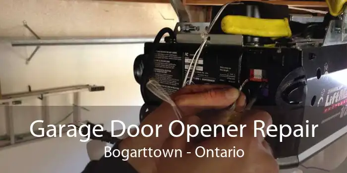 Garage Door Opener Repair Bogarttown - Ontario