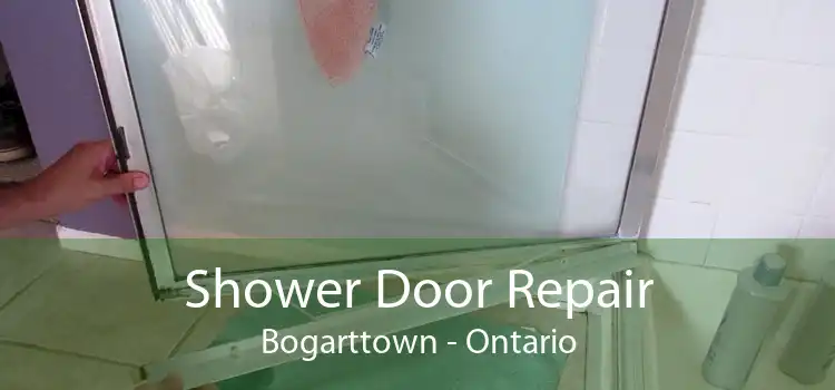 Shower Door Repair Bogarttown - Ontario