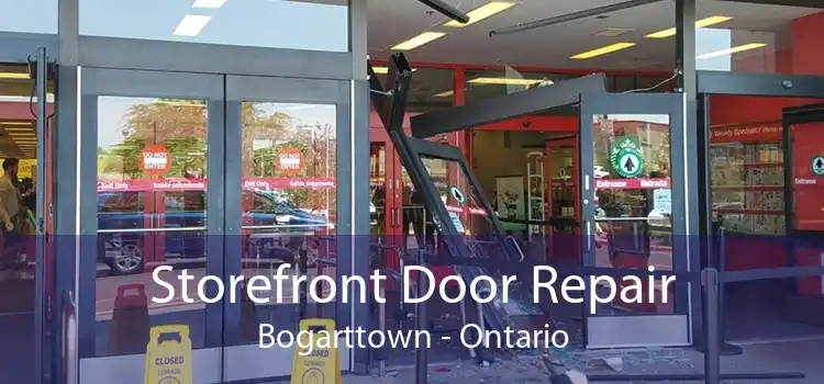 Storefront Door Repair Bogarttown - Ontario